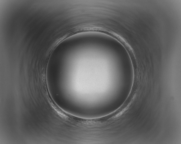 X0000083640897200702121121