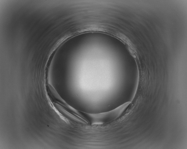 X0000083640898200702121121