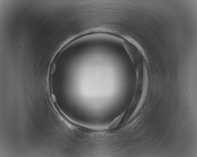 X0000083640902200702121121