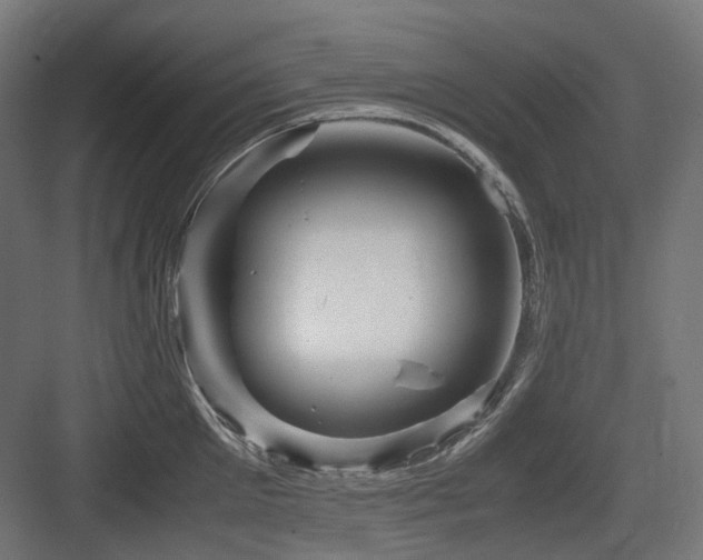 X0000083640905200702121121
