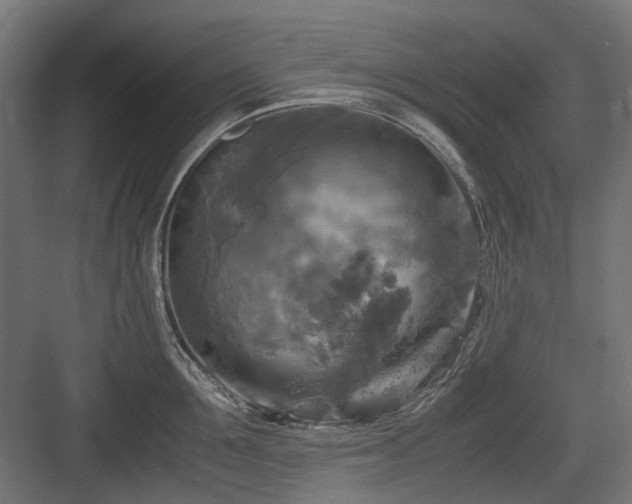 X0000083640907200702121121