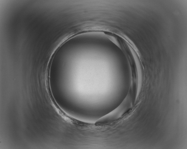 X0000083640909200702121121