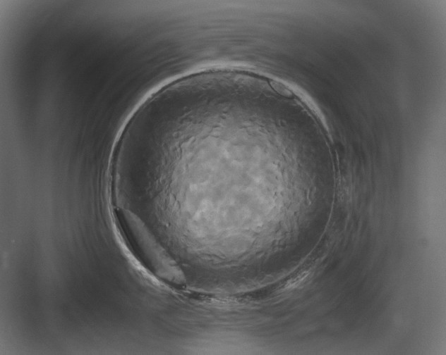 X0000083640911200702121121