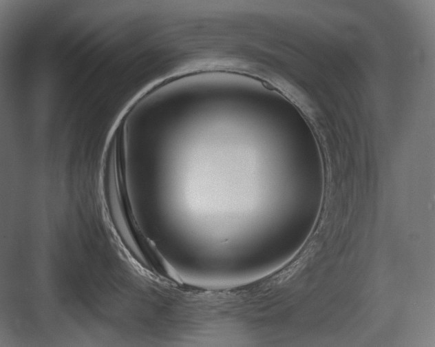 X0000083640912200702121121