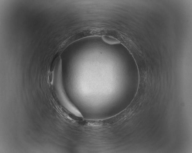 X0000083640914200702121120