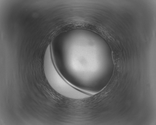 X0000083640916200702121120