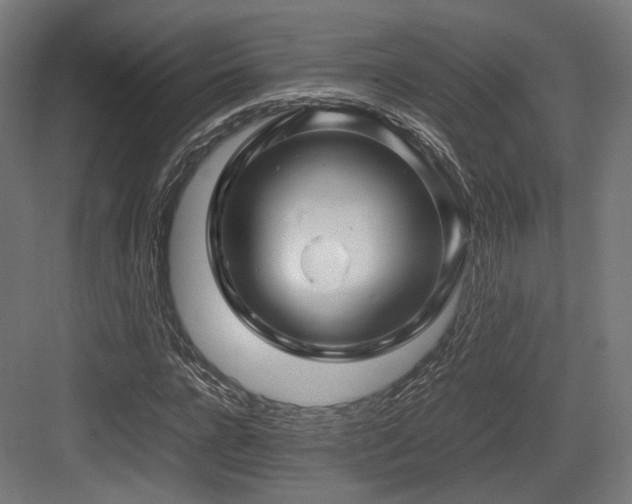 X0000083640920200702121120