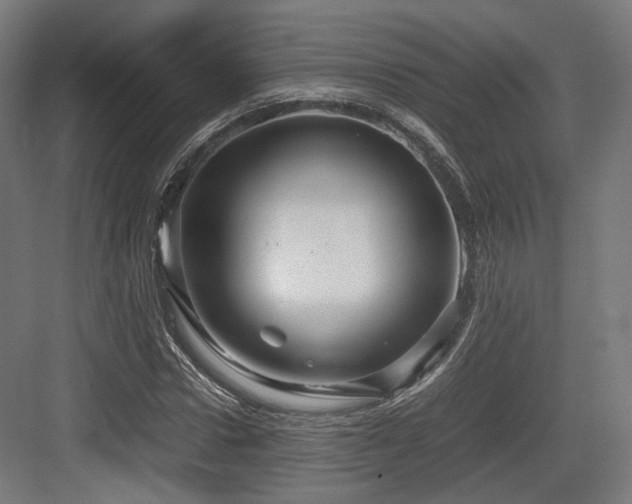 X0000083640922200702121120