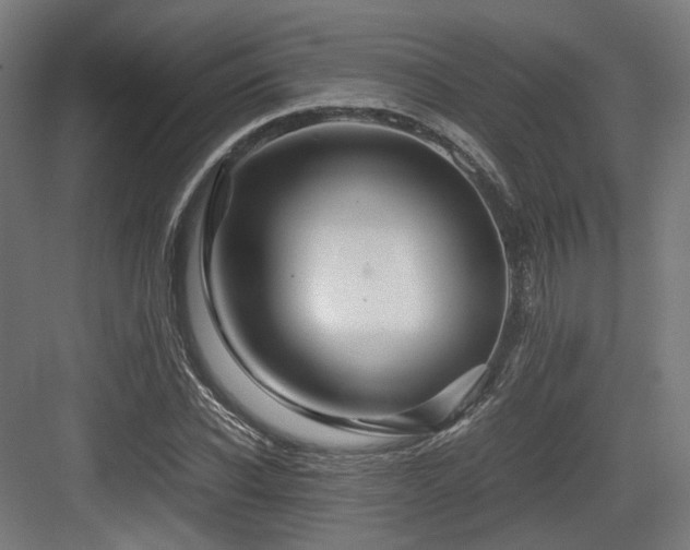 X0000083640926200702121120