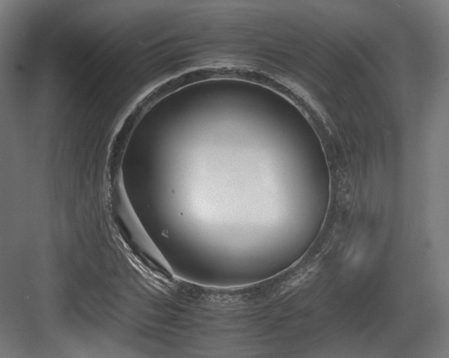 X0000083640927200702121120