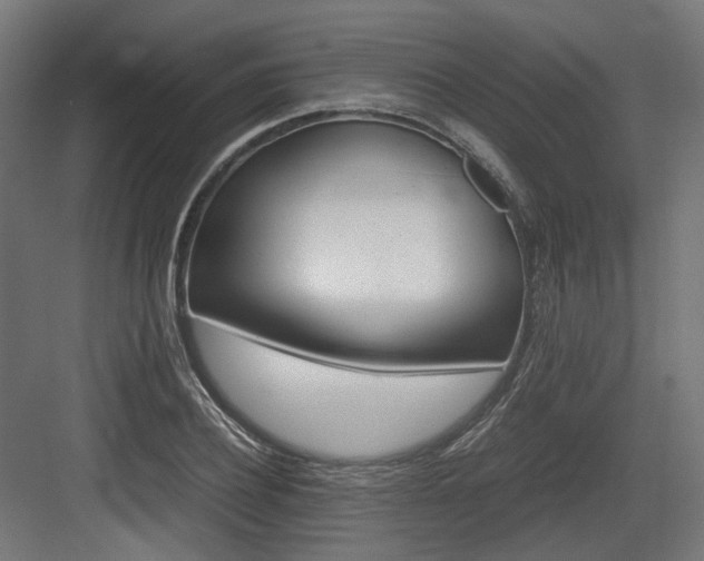 X0000083640932200702121120