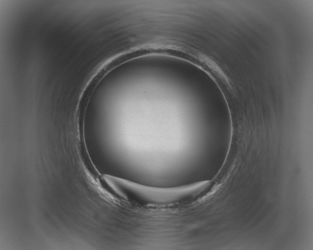 X0000083640934200702121120