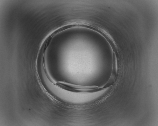 X0000083640936200702121120