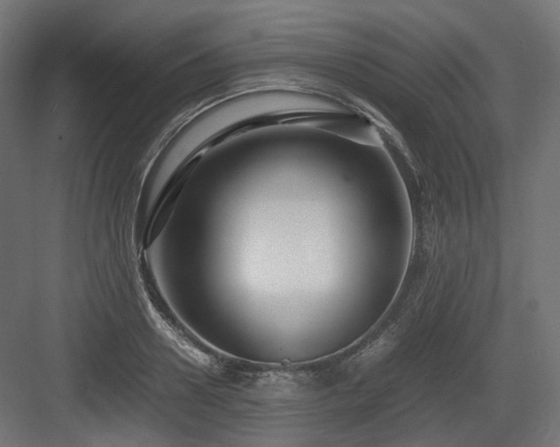 X0000083640938200702121120