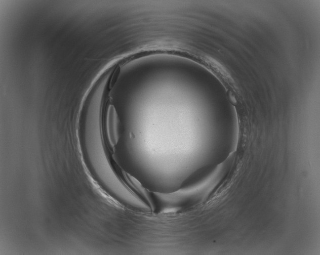 X0000083640942200702121120