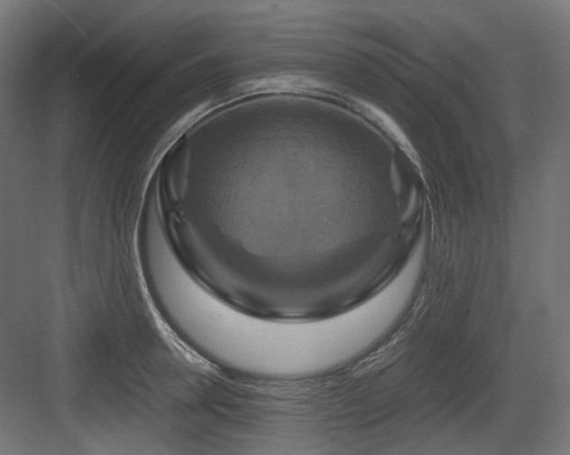 X0000083640946200702121120