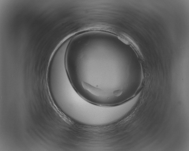X0000083640948200702121120