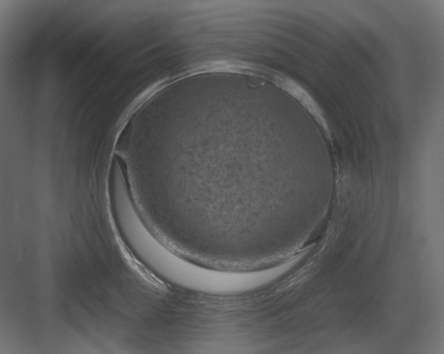 X0000083640954200702121120