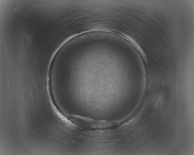 X0000083640955200702121120