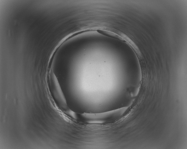 X0000083640956200702121120