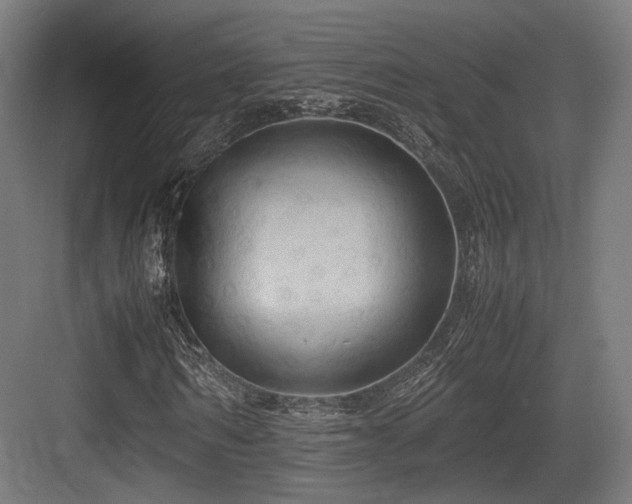 X0000083640962200702121120