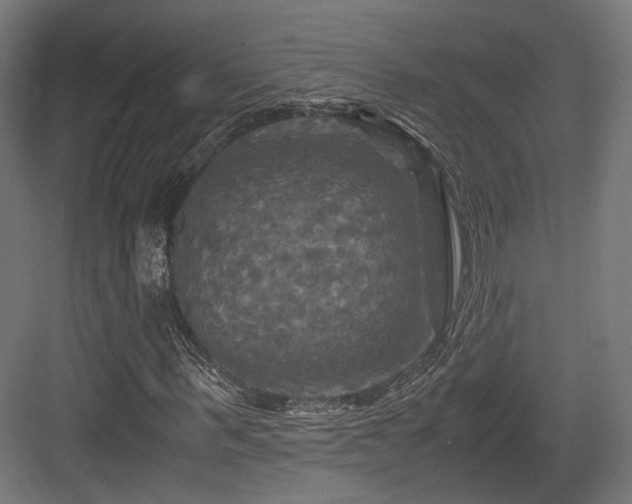 X0000083640963200702121120