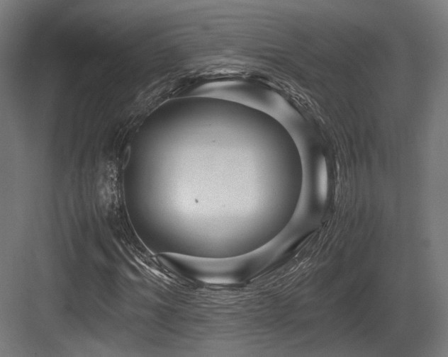 X0000083640964200702121120