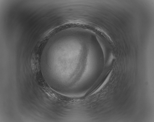X0000083640968200702121120