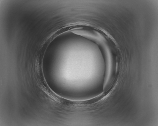 X0000083640969200702121120