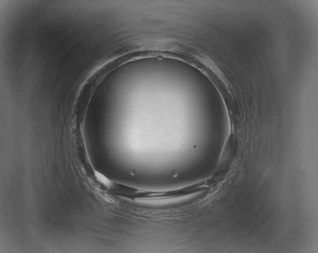 X0000083640971200702121120
