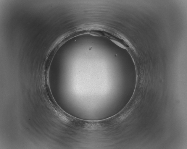 X0000083640978200702121119