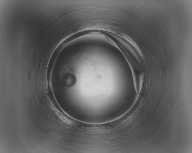X0000083640980200702121119