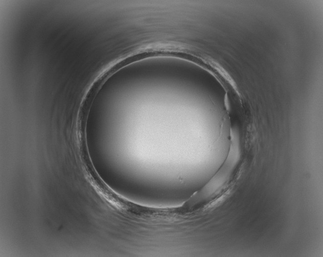 X0000083640981200702121119