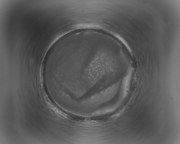 X0000083640983200702121119