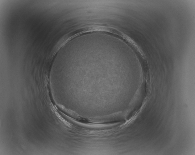 X0000083640985200702121119