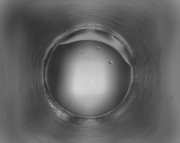 X0000083640986200702121119