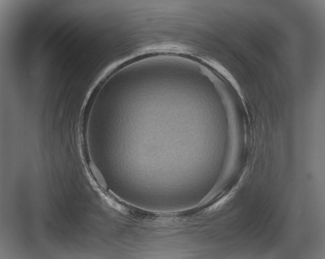 X0000083640989200702121119
