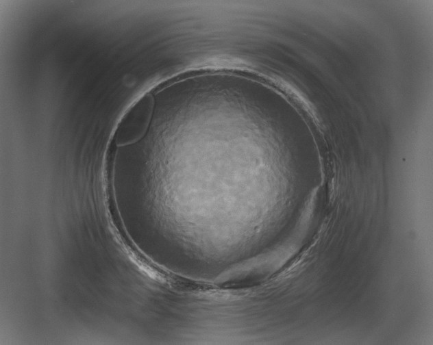 X0000083640990200702121119