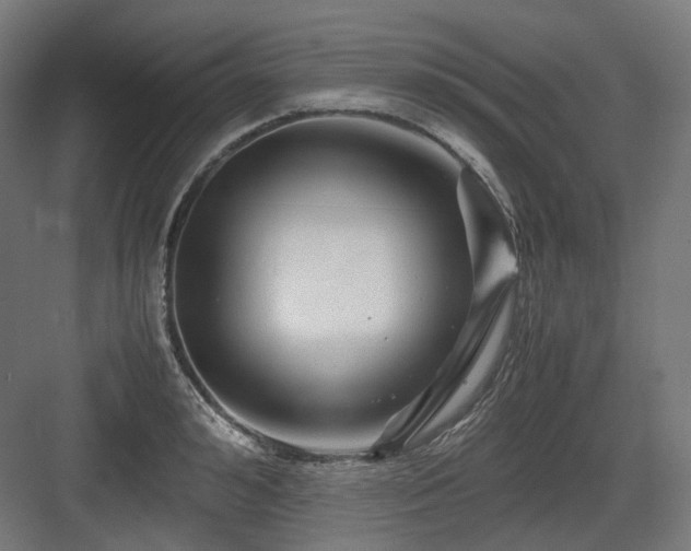 X0000083640992200702121119