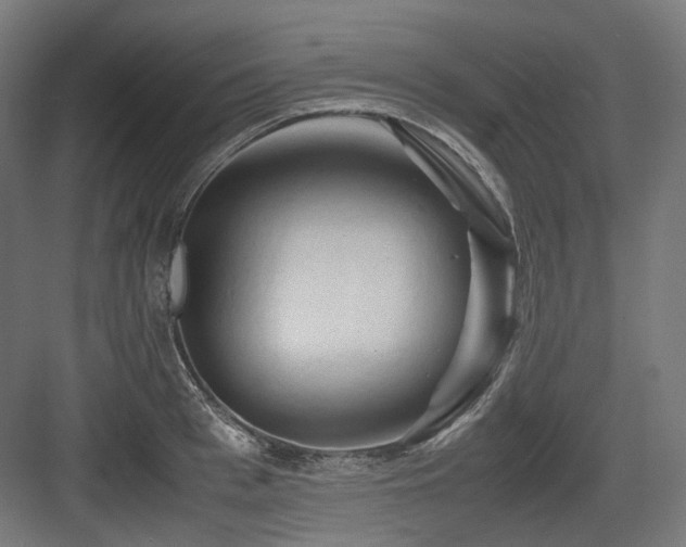 X0000083640993200702121119