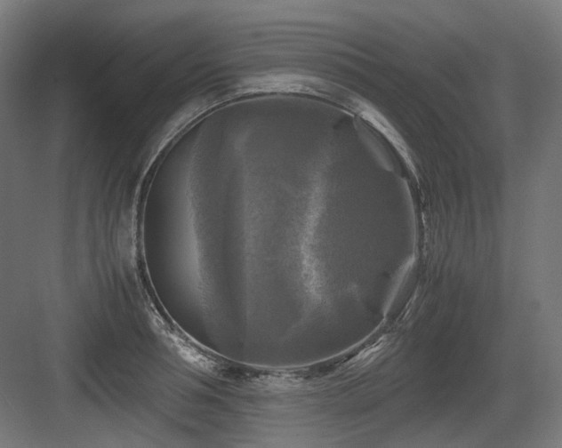 X0000083640994200702121119