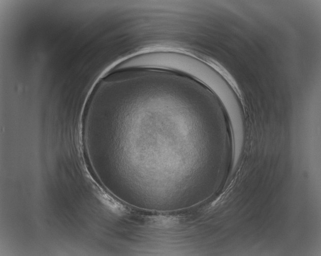 X0000083640996200702121119
