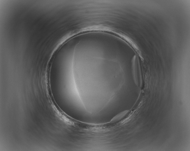 X0000083640998200702121119