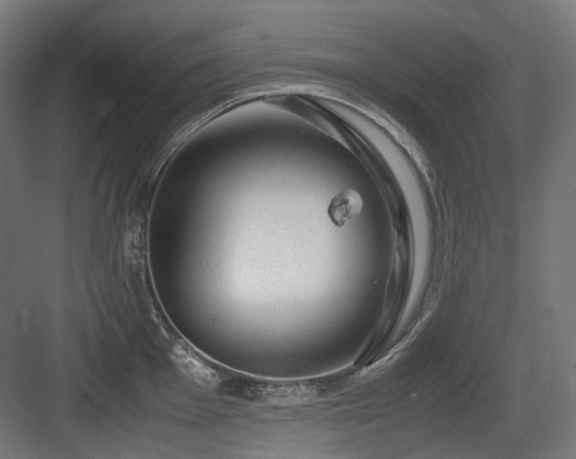 X0000083641001200702121119