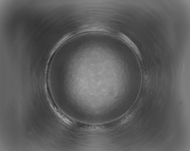 X0000083641002200702121119