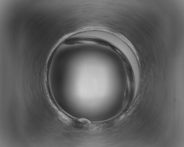 X0000083641005200702121119