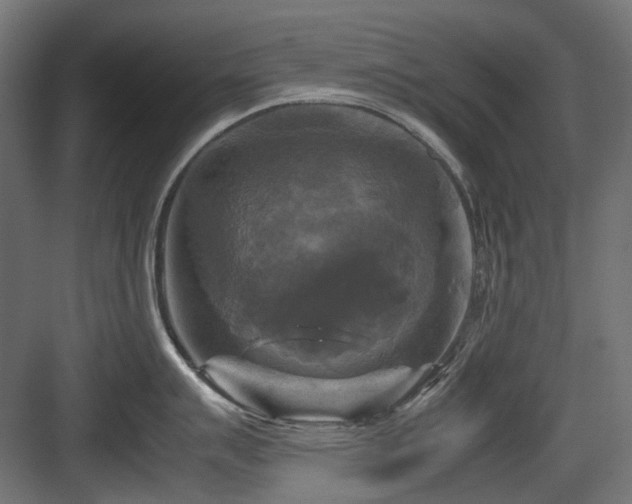 X0000083641007200702121119