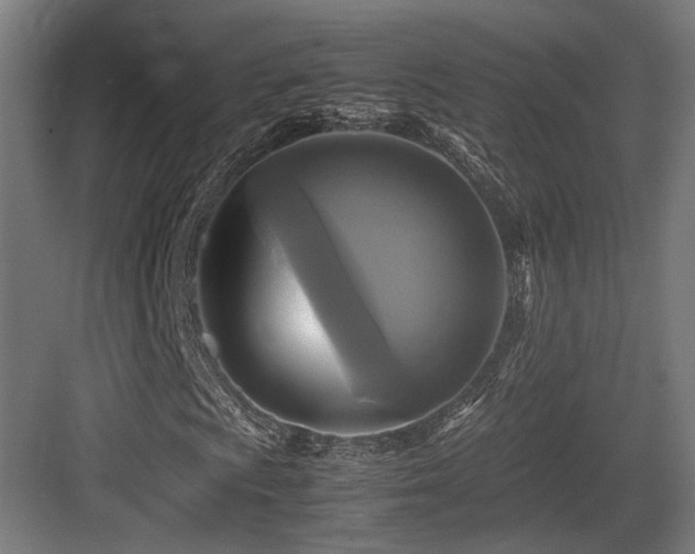 X0000083641009200702121118