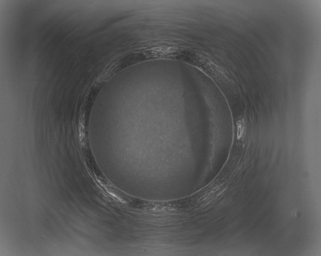 X0000083641011200702121118