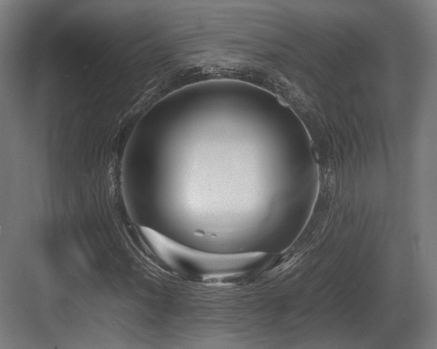 X0000083641012200702121118